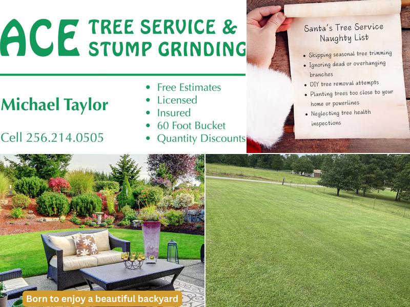 ACE Tree Service and Stump Grinding