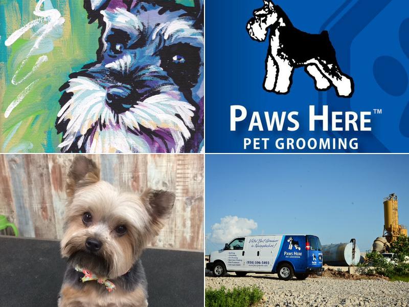 Paws Here Pet Grooming