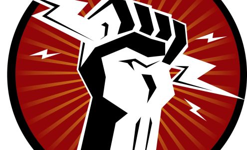 Puerari Electric Inc