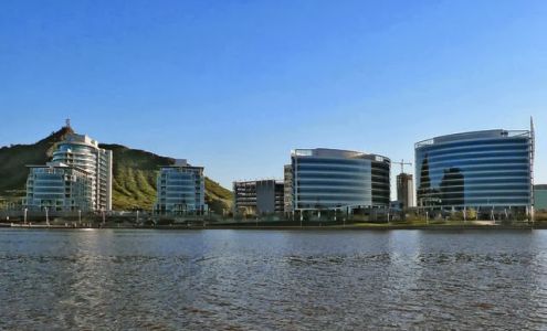 Momentum Financial Partners