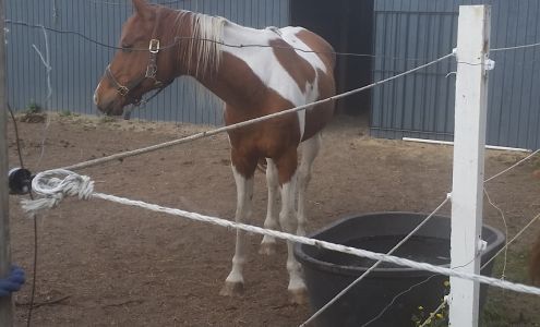 Duane Walker Electric Inc