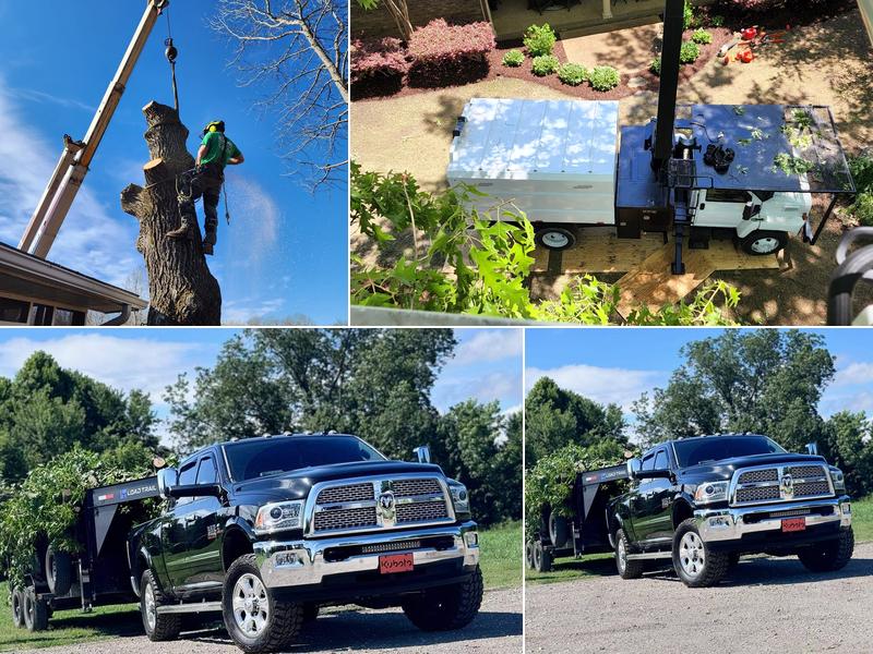 BuzzBee Tree Services, LLC