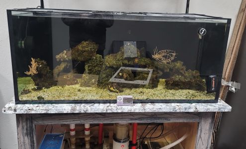 Dynamic installation group