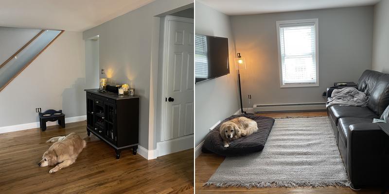 Portland Proper Paint