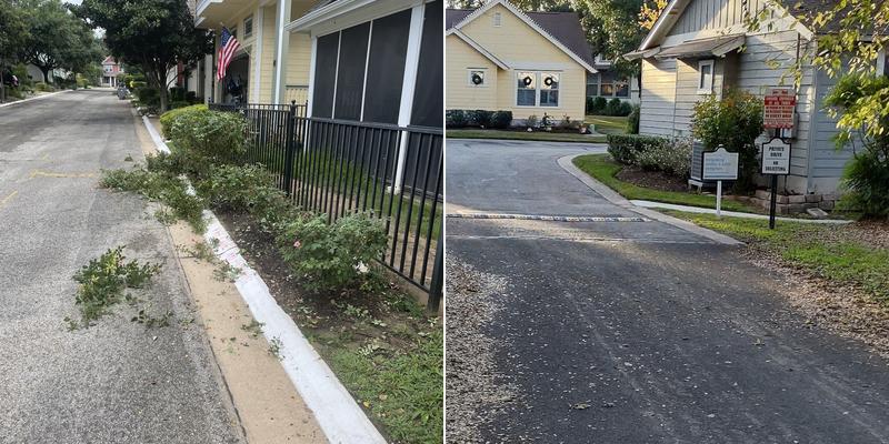 Ecosystems Landscape Services