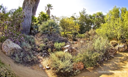 Environmental Nature Center