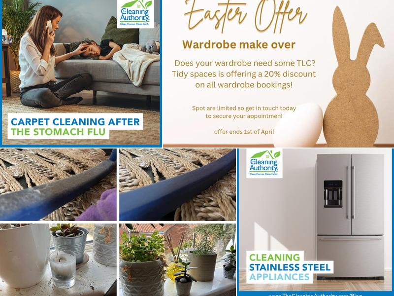 Tidy Spaces Cleaning Services