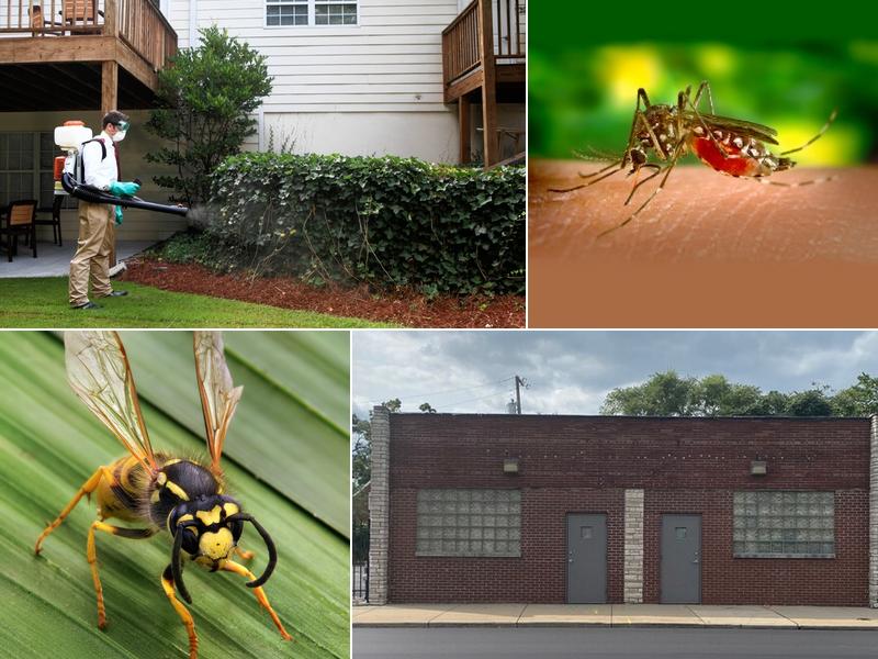 A1 Pest Control & Bed Bugs