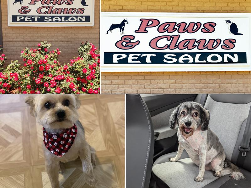 Paws & Claws Pet Salon