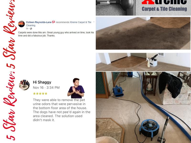 Xtreme Carpet & Tile Care