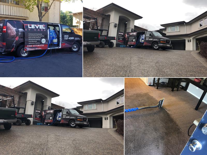 Next Level Carpet Cleaning Care