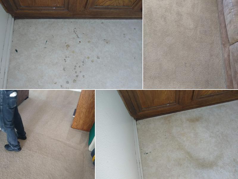 Eagle Carpet Cleaning