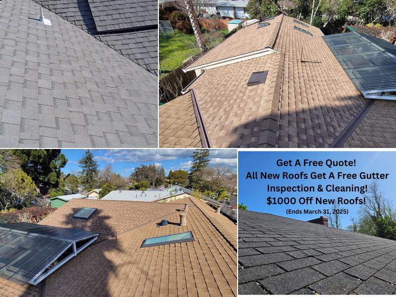 Meier & Sons Roofing