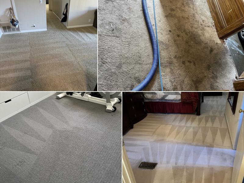Alex's Carpet Cleaning