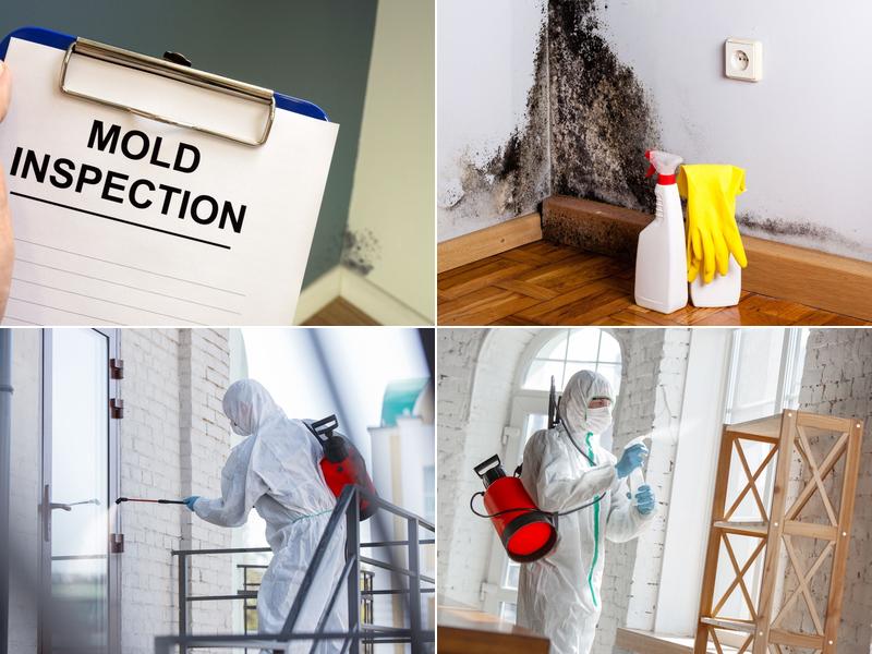 Choice City Mold Solutions