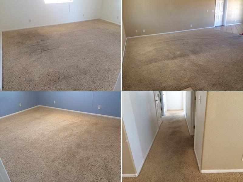 Ted's Cleaning Services