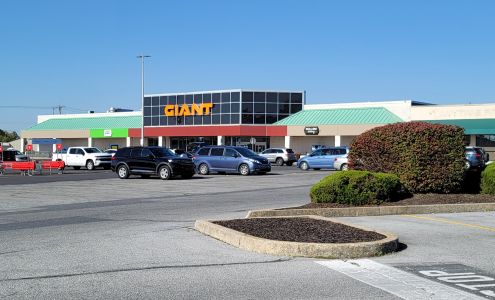 GIANT Cleona