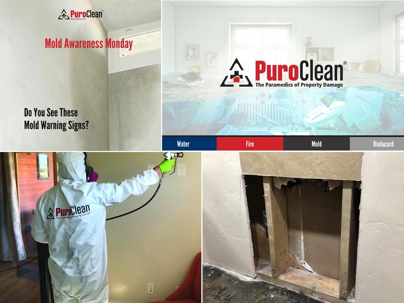 PuroClean of Durango