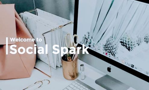 Social Spark*