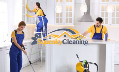 Squeaky Cleaning Fort Lauderdale 3550 Galt Ocean Dr APT 1103, Fort Lauderdale Florida 33308