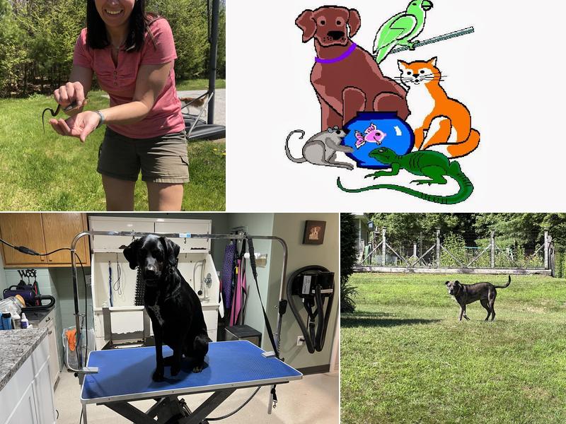 The Pet Palace & Day Spa