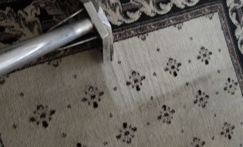 Superior Steam Cleaning & Pest Management