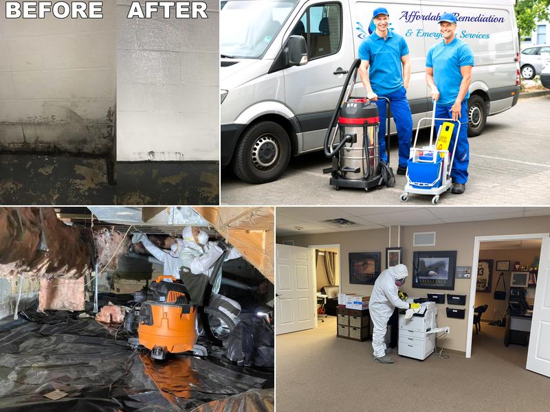 Affordable Remediation & Emergency Services