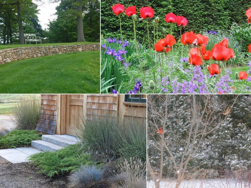 Rue Sherwood Landscape Design