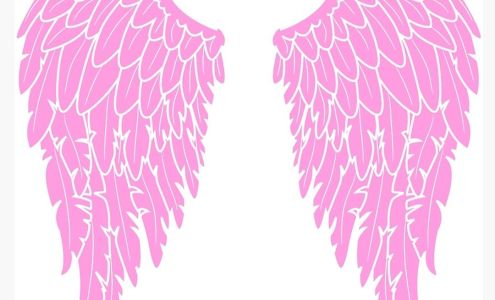 Angels Help Cleaning services, LLC