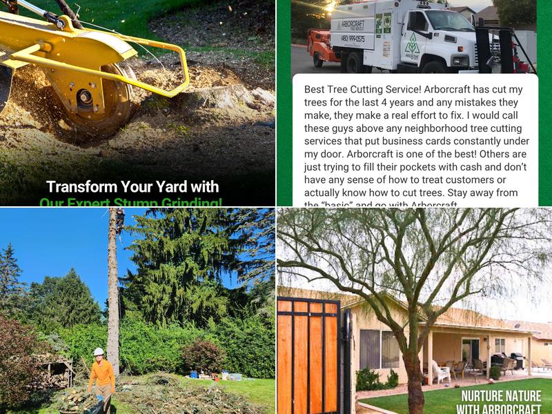 ArborCraft Tree Care