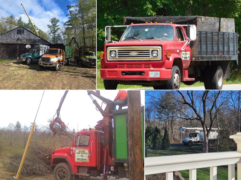 Pioneer Tree Service LLC