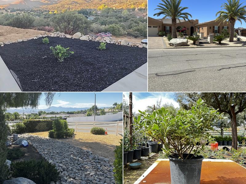 Marathon Nursery and Landscape