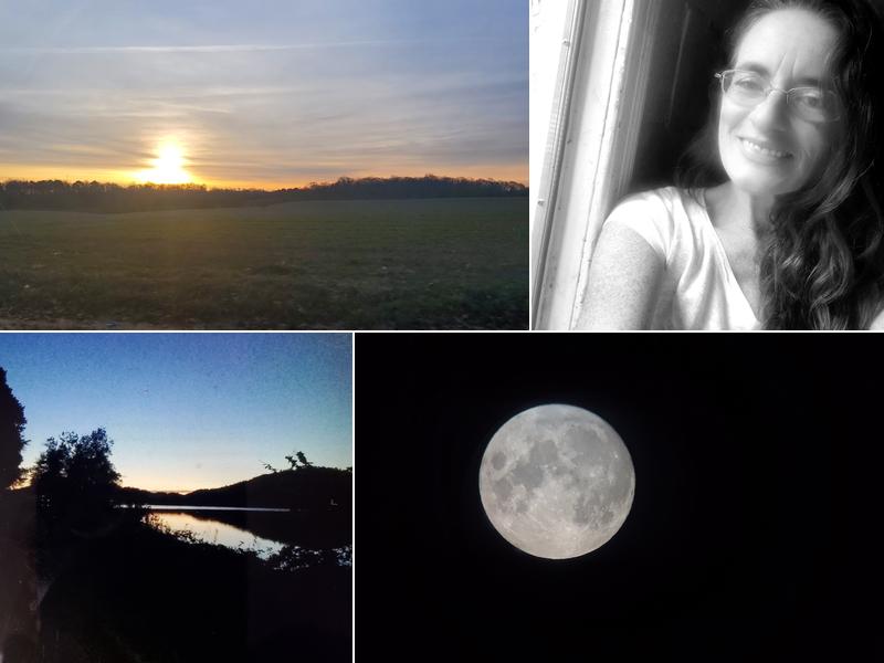 PAMELA'S PROFESSIONAL CLEANING