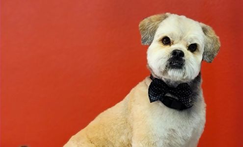 Perfect Pawz Pet Spa 1850 W Warlow Dr A, Gillette Wyoming 82716