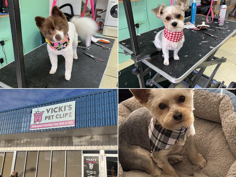 Vicki’s Pet Clipz