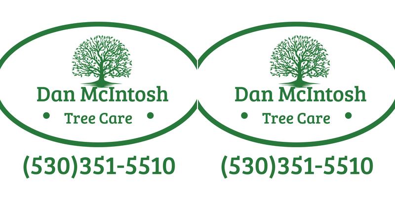 Dan McIntosh Tree Care