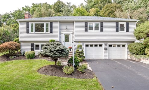 Ten Mangoes Photography