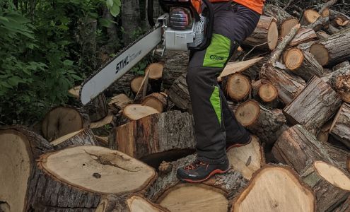 Patriot Tree Service LLC 8990 Oeschger Rd, Sebewaing Michigan 48759