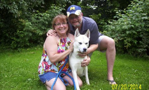 Chapman's Casa and Critter Care Service