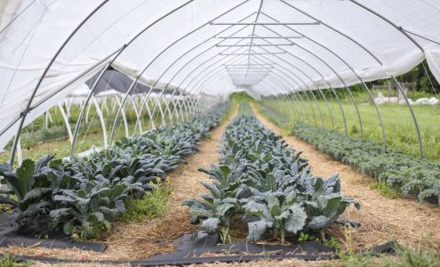 Happy Hollow Farm Jamestown