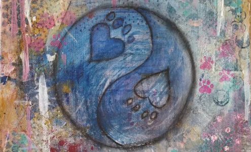 Balanced Paws Grooming 16748 E Parkview Ave d4, Fountain Hills Arizona 85268