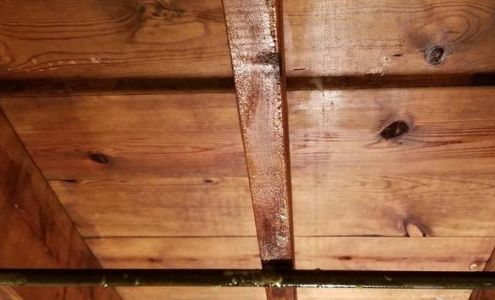 Central Environmental Enterprises