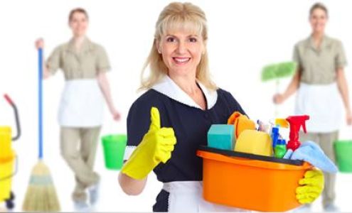 Sharon's Maid Services Inc
