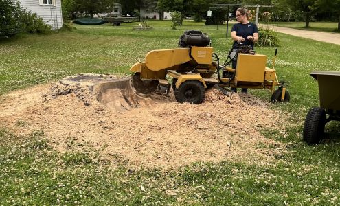 Stumpeez Stump Grinding LLC