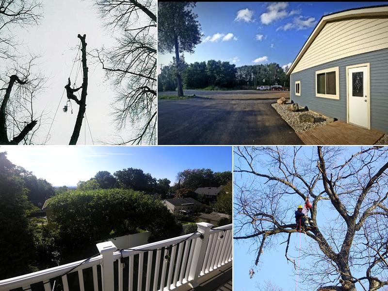 Johnny's Tree Service