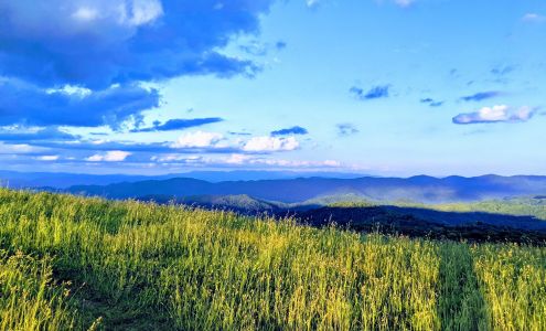 The Landscape Artisan