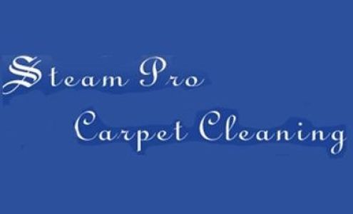 Steam Pro Carpet Cleaning LLC 7016 Sears Rd, Horton Michigan 49246