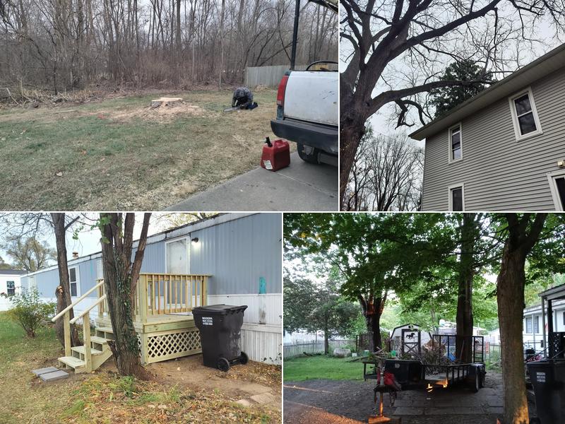 Tree service Jackson B&T Services