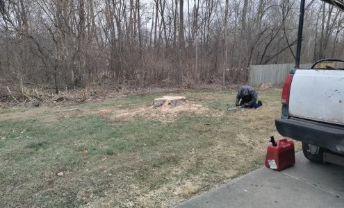 Tree service Jackson B&T Services