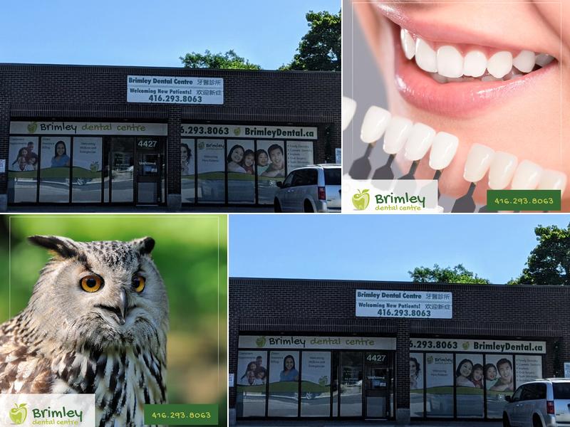 Brimley Dental Centre
